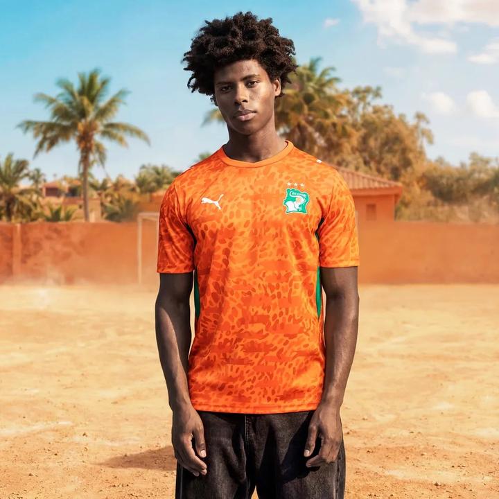Actual product image Puma FIF Home Jersey Replica (M)