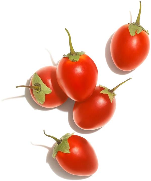 Actual product image Wella Invigo Nutri Enrich (500 ml)