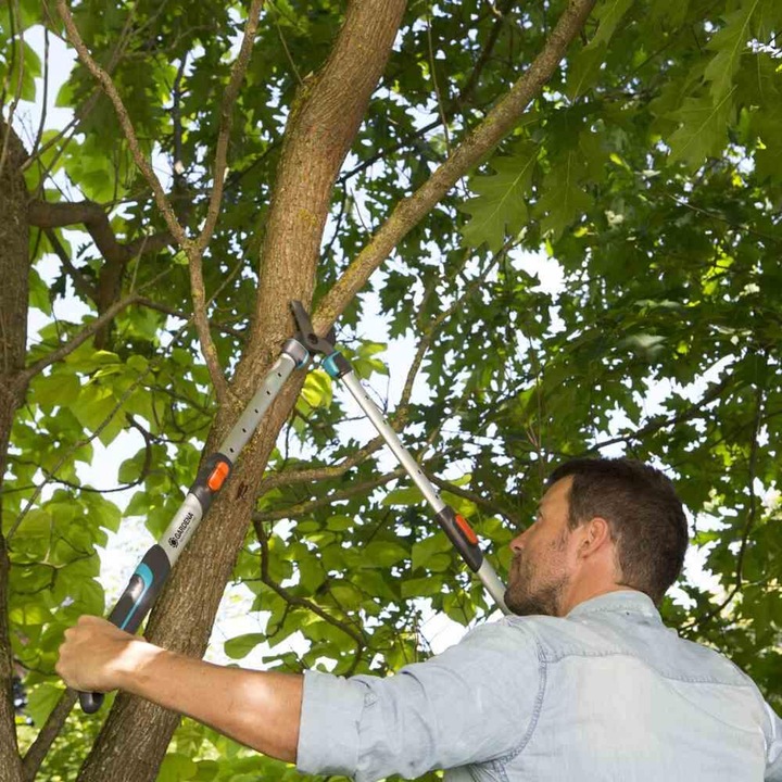 Image du produit Gardena Cisaille à branches longues TeleCut 650-900B