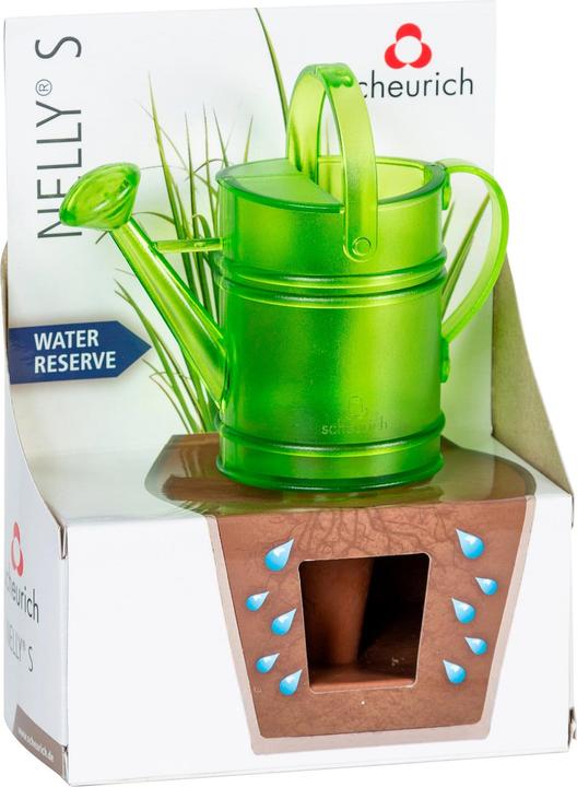 Actual product image Scheurich Nelly S (Clay cone)