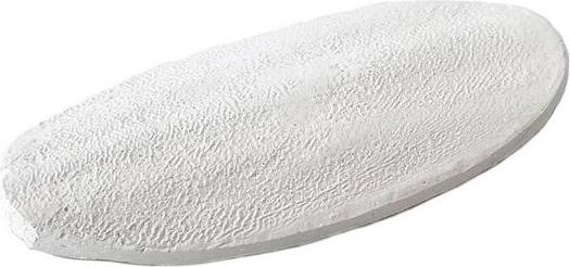 Immagine prodotto Terra della Os de seiche per rettili (0.09 kg)