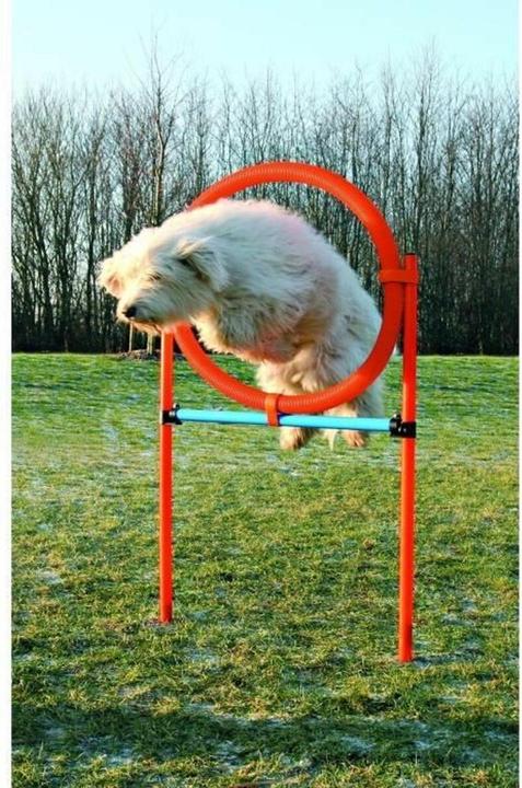 Produktbild Trixie Dog Activity Agility Ring (Agility)