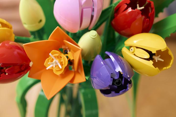 Image du produit LEGO Tulpenstrauss (11501, LEGO Botanical)