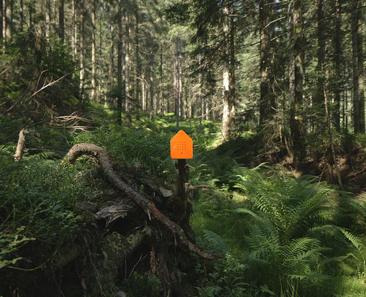 Produktbild Relaxound Zwitscherbox