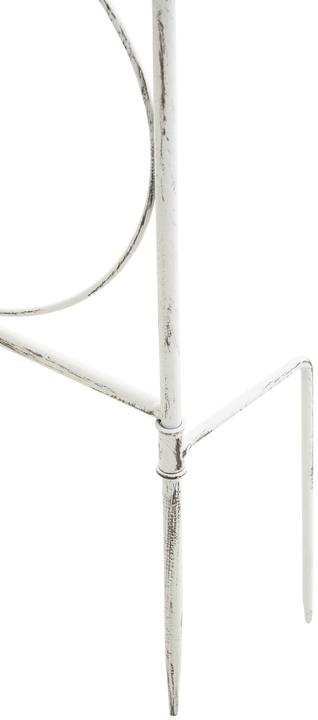 Immagine prodotto CLP Mandevilla a traliccio, bianco antico (1 cm, 99 cm)