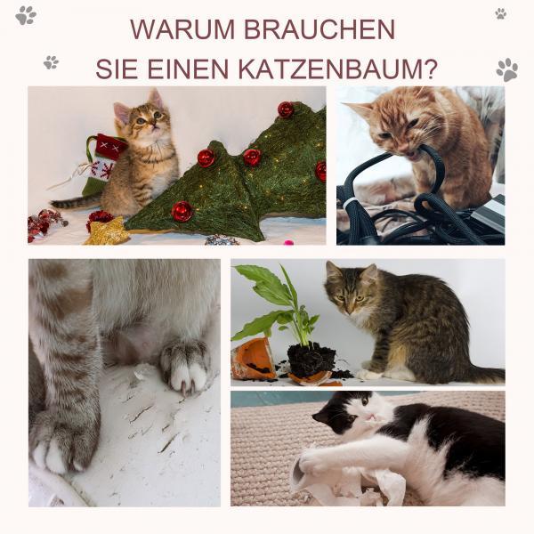 Produktbild PawHut Katzenkratzbaum mit Ball (43 cm, Hellgrau)