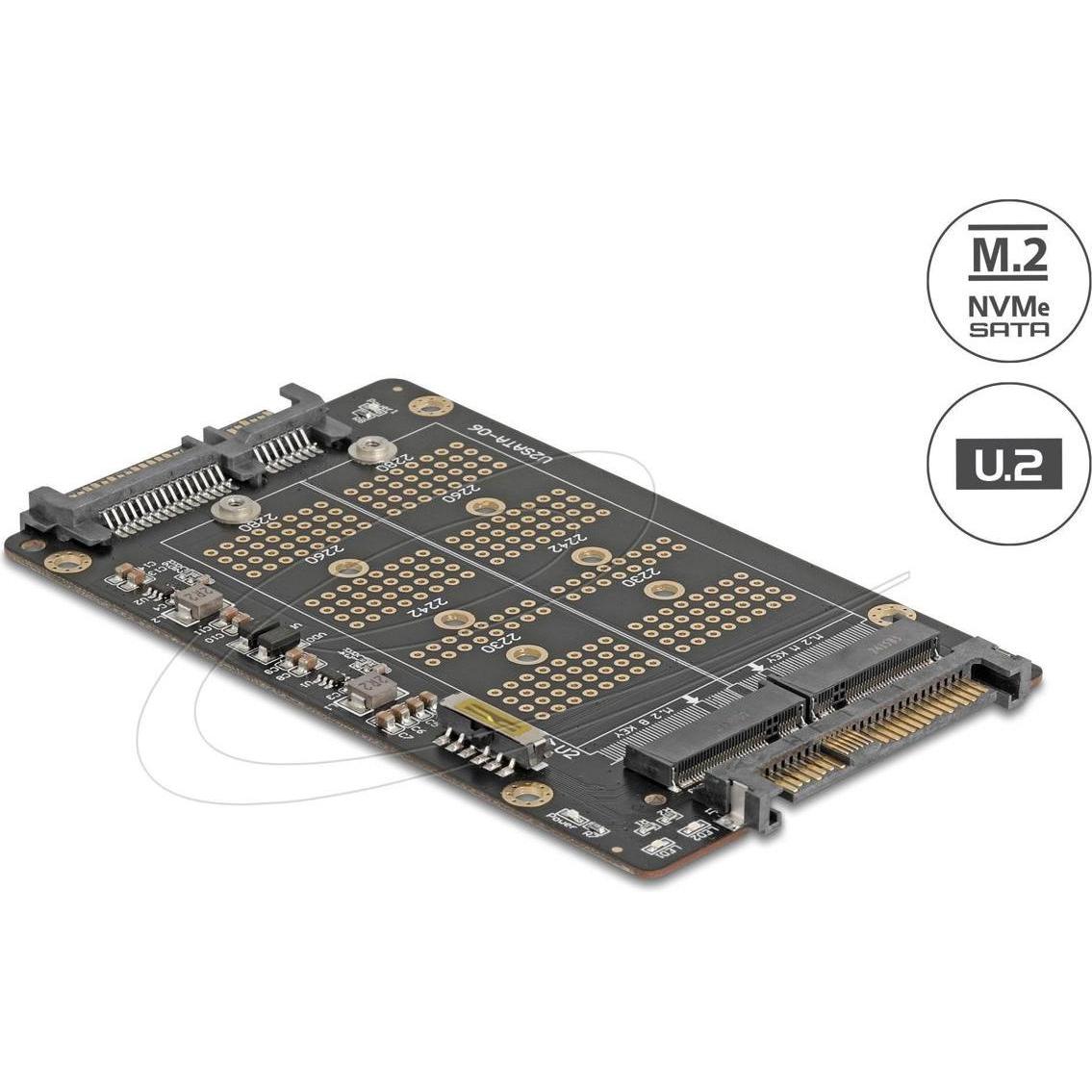 Delock Konverter M.2 Key M NVMe SSD zu U.2 und M.2 Key B SAT, Accessori per dischi rigidi