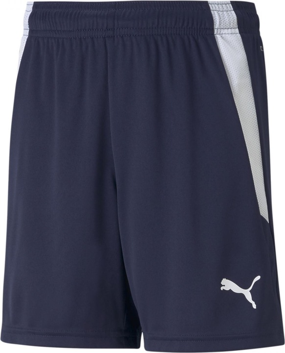 Actual product image Puma teamLIGA Shorts Jr-704931 (176)