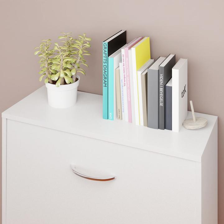 Actual product image Casaria Shoe closet (115 x 60 x 24 cm)