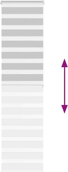 Produktbild vidaXL Zebra-Jalousie (60 x 200 cm)