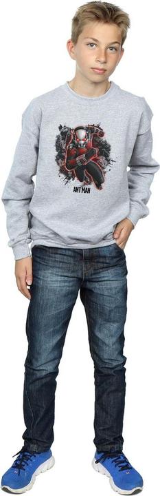 Image du produit Sweatshirt garçon Ant-Man Ants Running (116)