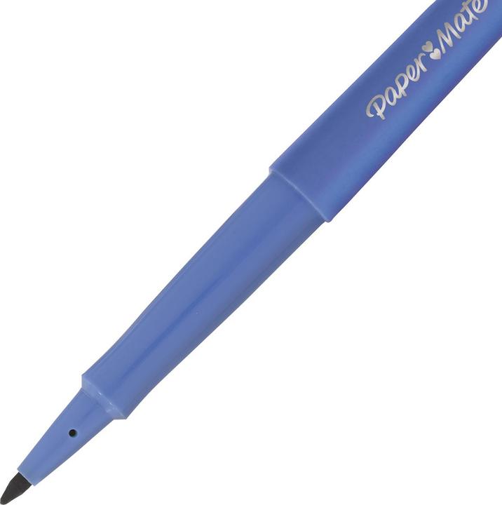 Actual product image Paper Mate Fibre pen (Multicoloured, 12 x)