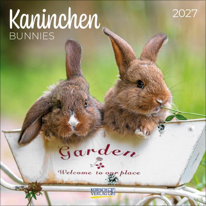 Produktbild Kaninchen 2027