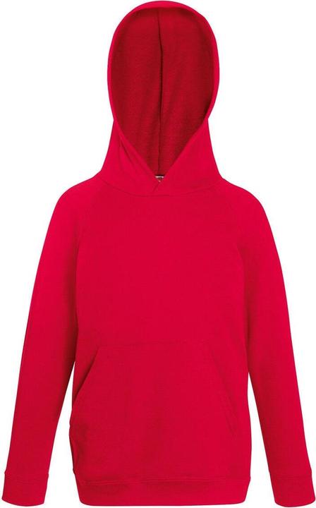Actual product image Fruit of the Loom Hooded jumper (152)