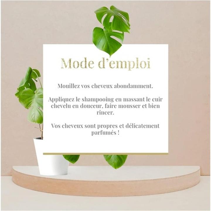 Image du produit Arganicare Huile d'argan & beurre de karité Shampooing anti-dandruff (400 ml, Shampoing liquide)