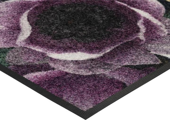 Produktbild Wash + Dry Fussmatte Anemone 50 cm x 75 cm (50 x 75 cm)