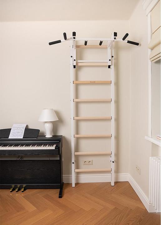 Immagine prodotto BenchK Barre a muro 231W