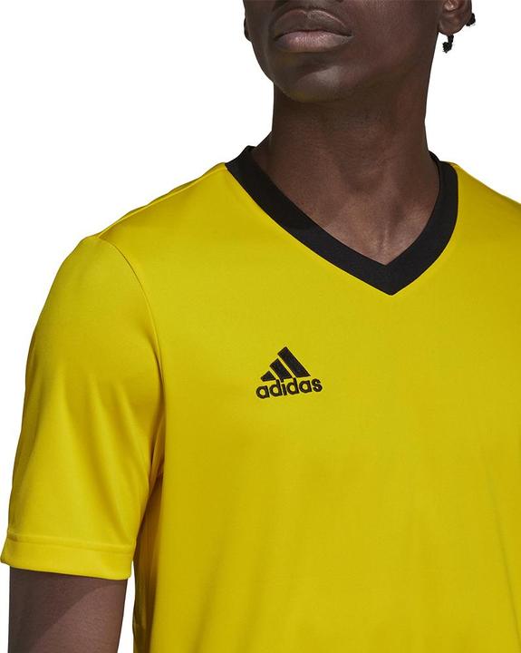 Produktbild adidas Entrada 22 Fussballtrikot Herren (XL)