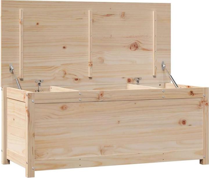 Image du produit vidaXL Truhe