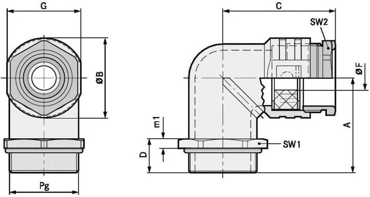 Produktbild Lapp Winkelverschraubung PG21 Druck