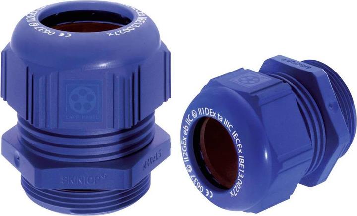 Actual product image Lapp Cable gland M63 Polyami