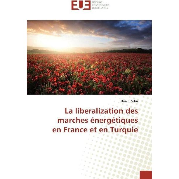 La liberalization des marches énergétiques en France et en Turquie, Ratgeber von Burcu Zobu