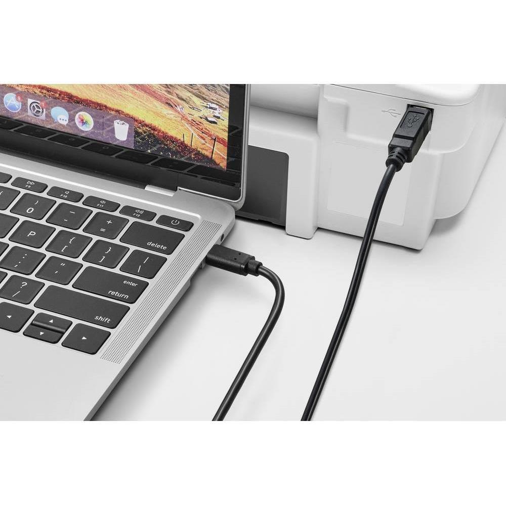 Thumbnail - Renkforce USB-Kabel USB 2.0 USB-C Stecker, USB-B Stecker 2.00 m Schwarz Gesamts (2 m, USB 2.0), USB Kabel