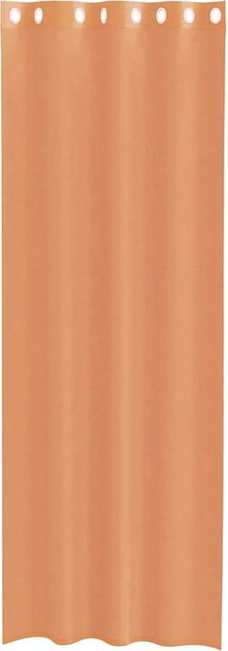 Actual product image vidaXL Voile Vorhang (140 x 245 cm)