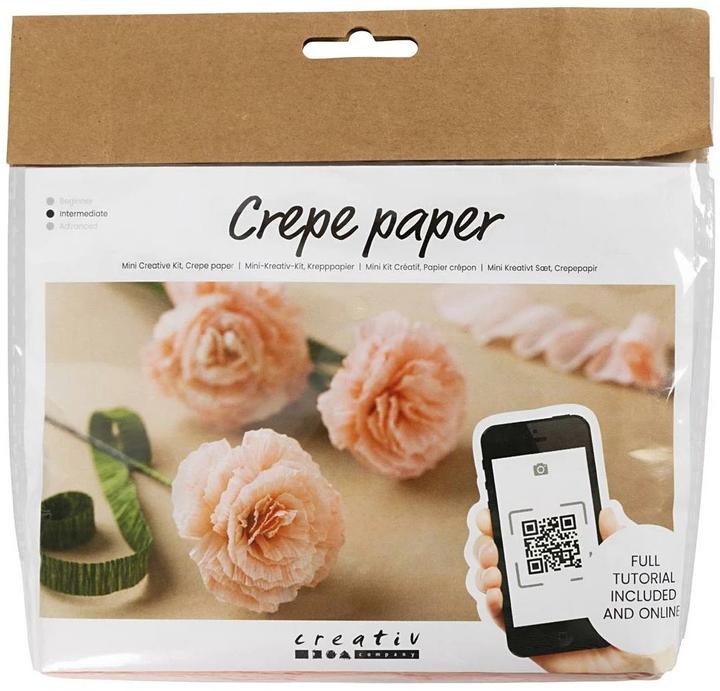 Image du produit Creativ Company Mini kit de bricolage papier crépon