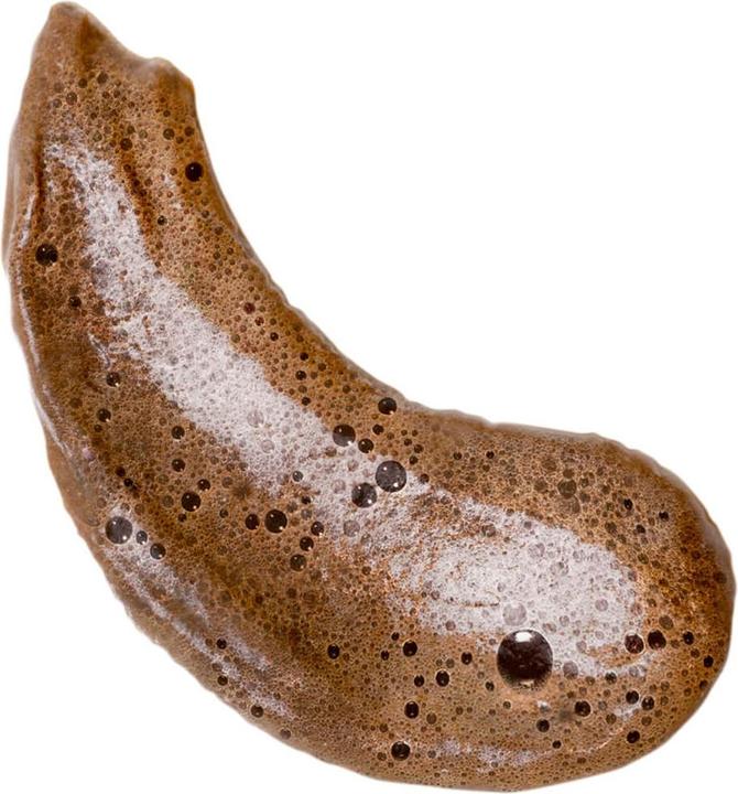 Actual product image Coco & Eve Sunny Honey Bali Bronzing Foam Medium 200ml with Brush and Self Tan (Self tanning foam, 200 ml)