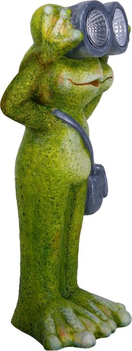 Produktbild Näve LED Solarleuchte FROSCH H: 30 cm (3 lm, IP44)