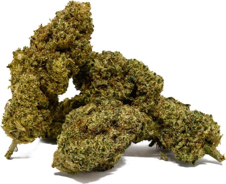 Actual product image First Class Lemon One (12 g, Indoor)