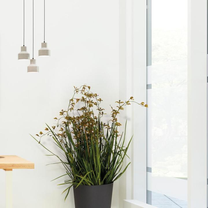 Produktbild Euro3plast Blumentopf Fyre Ø 25 cm anthrazit Greener