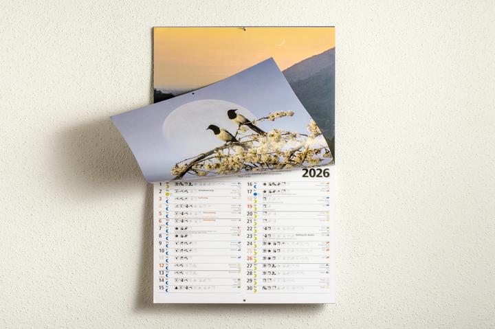 Image du produit L'année lunaire 2026 - Calendrier mural (32 x 28 cm)