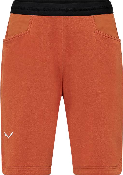 Actual product image Salewa Agner Hemp Shorts M (54)