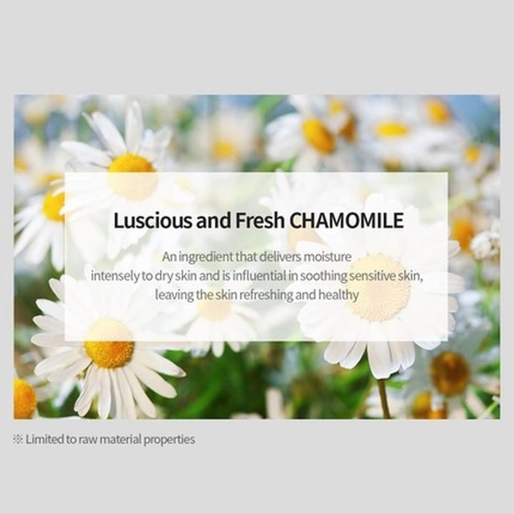 Actual product image Nacific Fresh Herb Origin (50 ml, 24h cream)