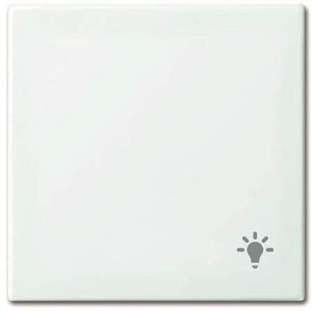 Actual product image Busch-Jaeger Rocker