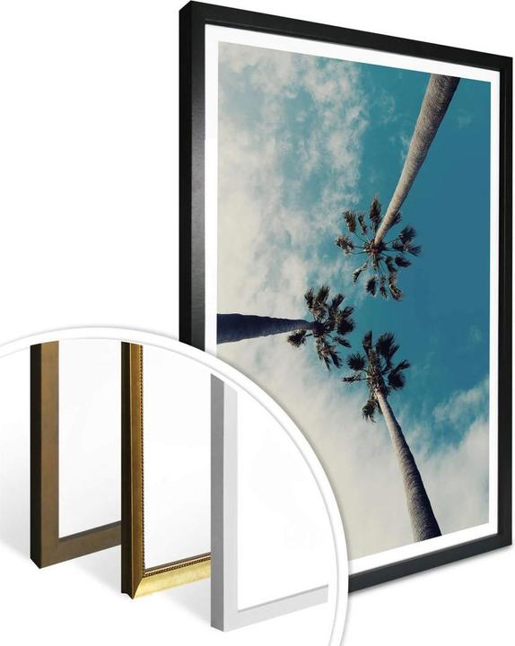 Produktbild Trenddeko Palmen 03 (30 x 40 cm)