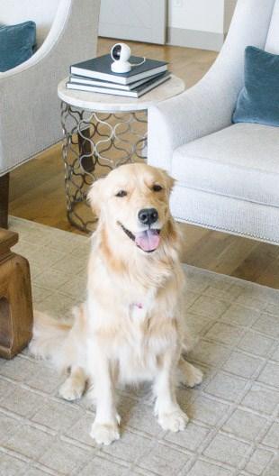 Produktbild Reolink E330 (2560 x 1440 Pixels)