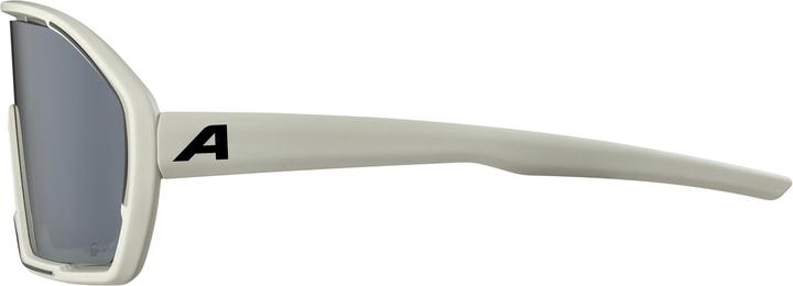 Actual product image Alpina Bonfire Q-Lite (Cool grey matt, Silver)