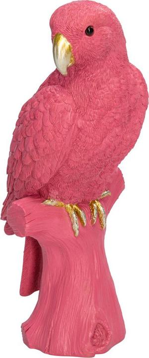 Actual product image BYYU Macaw