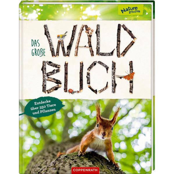 Thumbnail - Das grosse Waldbuch, Kinderbücher von Bärbel Oftring, Holger Haag, Yousun Koh, Christine Henkel, Anne Ebert