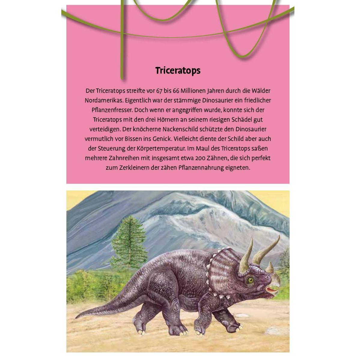 120 Duelle Dinosaurier, Kinderbücher von Uli Apfelthaler, Schwager & Steinlein Verlag, Marina und Annalisa Durante, Eman...