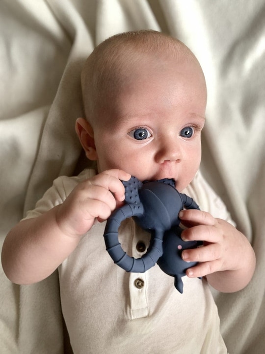 Actual product image Filibabba Teething ring - Felix the fly natural rubber - Muddly Blue