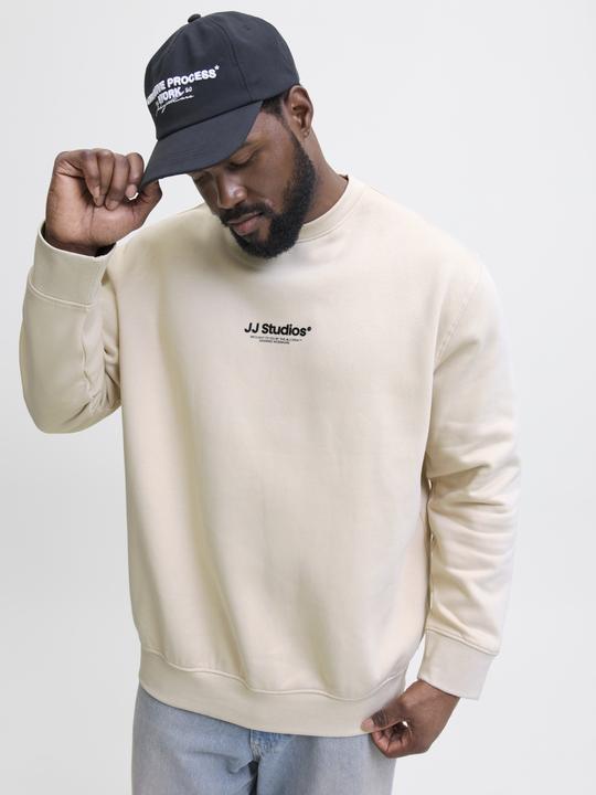 Produktbild Jack & Jones Plus Size Gedruckt Sweatshirt Sweatshirt