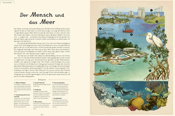 Produktbild Das Museum des Meeres (Deutsch, Loveday Trinick, Teagan White, 2021)