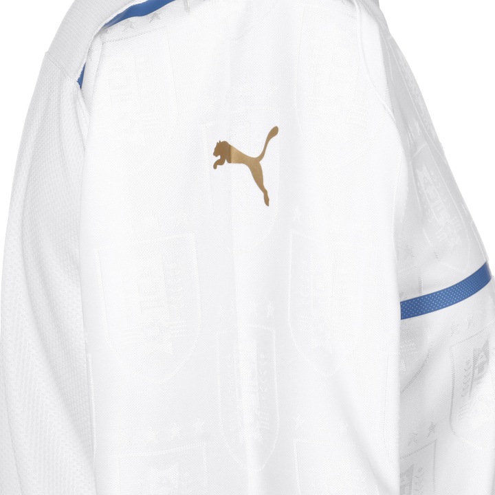 Produktbild Puma Uruguay Trikot Away Copa América 2021 Herren (L)