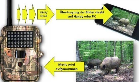 Produktbild Dörr IR Snapshot Mobile 5.1MP