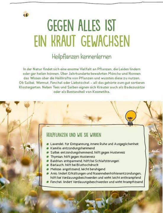 Produktbild Die Kita-Umwelt-Retter. Mit Kindern Umweltschutz und Nachhaltigkeit leben (Deutsch, Claudia Hohloch, 2021)