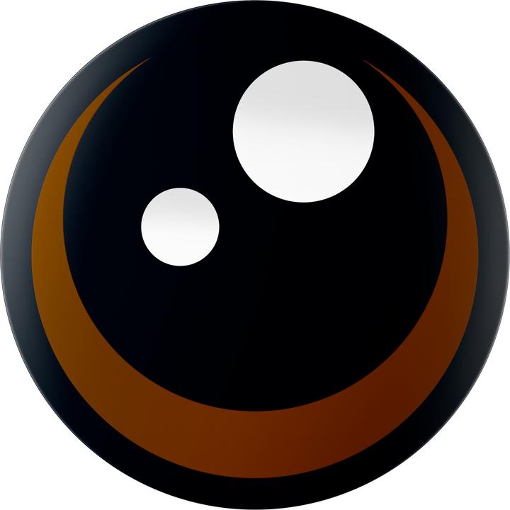 Actual product image LEGO Verspielter Welpe (31382, LEGO Creator Expert)